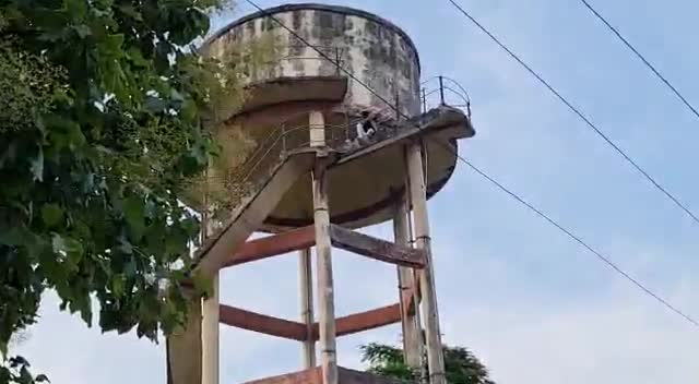 Paliya Tahsil Mein Pani Ki Tanki per Chadha yuvak #paliakalan #lakhimpur #lakhimpurnews