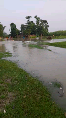 केिशनपुर: #कोशी नदी क्षेत्र के ठाढ़ी धात्ता (दक्षिण)वार्ड न.2 बाढ़ का पानी के जल अस्तर बढ़ने से सड़क की हो गई पानी में विलीन!