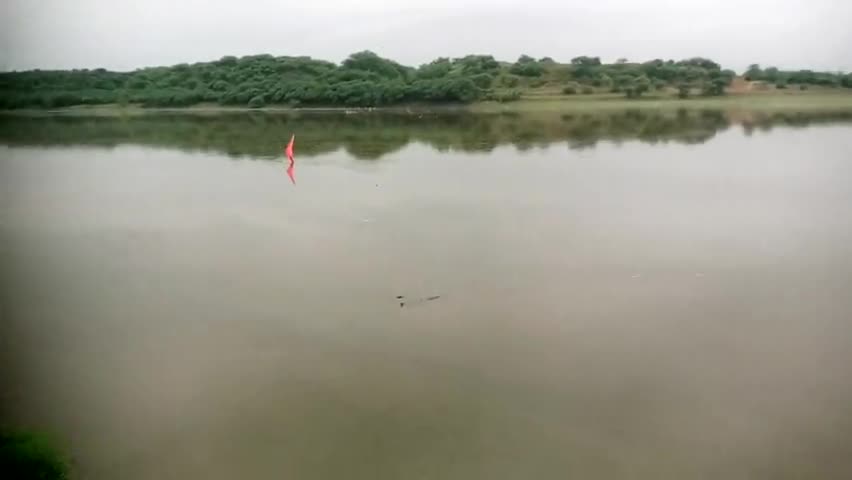 इटावा: भारी बारिश#के चलते यमुना नदी का#जलस्तर बढ़ने लगा है#कृपया सावधानी बनाय रखें#धमना कछार इटावा
