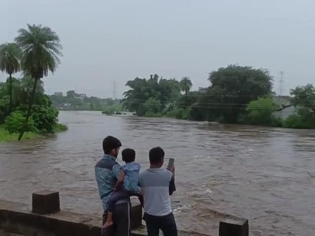 छिंदवाड़ा नगर: जटलापुर मे नदी उफान पर #CHHINDWARA #chhindwadanews #chhindwara_update