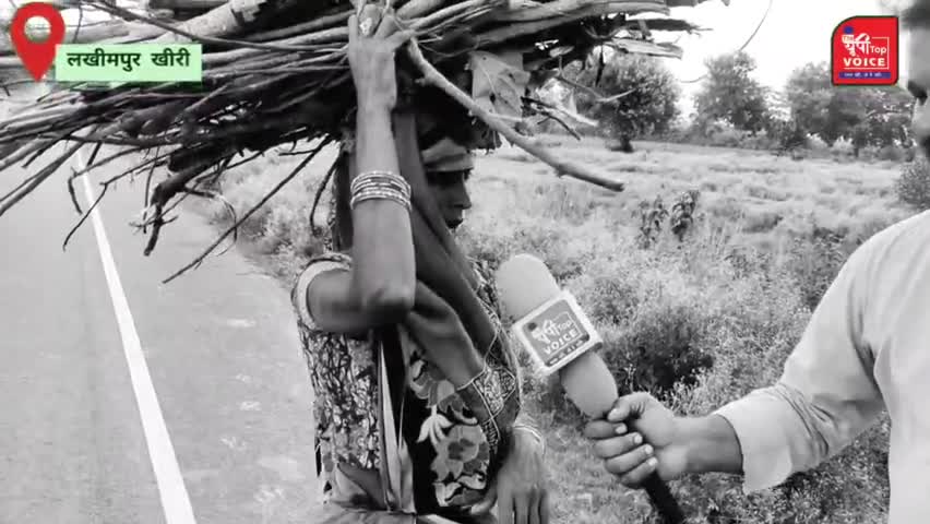 लखीमपुर: गौशालाओं का सच बता रही एक रिपोर्ट: लखीमपुर जिले के बिजुआ में किसान आवारा पशुओं से परेशान#theuptopvoice,