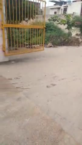 लोनी: गुरुद्वारा रोड इंद्रापुरी लोनी गाजियाबाद 201102,  रोड पर जल भराव। 
कोई निकासी नहीं।
#लोनी गाजियाबाद।
