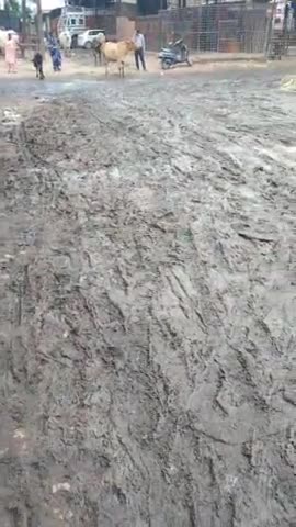 लोनी: लाल बाग मंडी लोनी की खराब स्थिति।
#लोनी गाजियाबाद