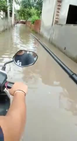 चरखी दादरी: charkhi dadri m #बरसात के पानी कोई निकसी नहीं