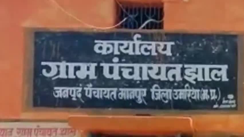 मानपुर: ग्राम पंचायत झाल में सरपंच पदाधिकारी और पंच सहित ग्रामवासियों ने पौधा लगाया #news #sarpanch #grampanchayat