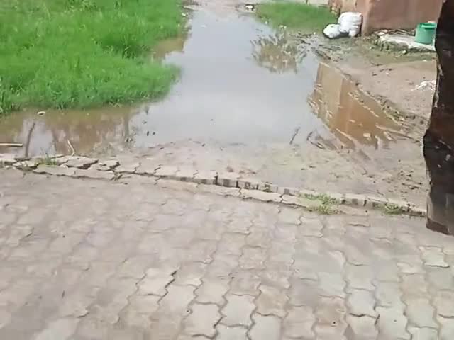चायल: #अजय यादव आईमापुर

mere naam  Ajay yadav hai sikandarpur Aima maa 
vikash nahi ho raha hai  pani bhara hai  aor bhai log