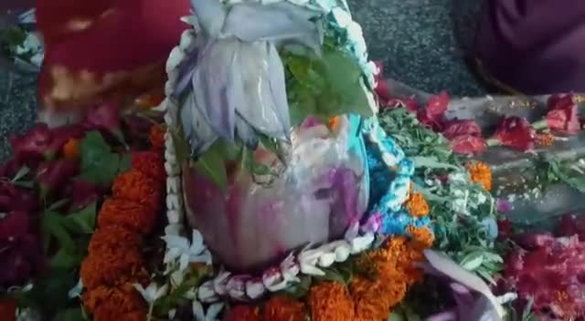 अमोघ पंचाक्षरी महामन्त्र से श्रीसिद्धेश्वरनाथ महादेवजी का दुग्धाभिषेक दर्शन लाभ सभीके लिए परमकल्याणकारी हो ⚘#ॐनमःशिवाय🚩
