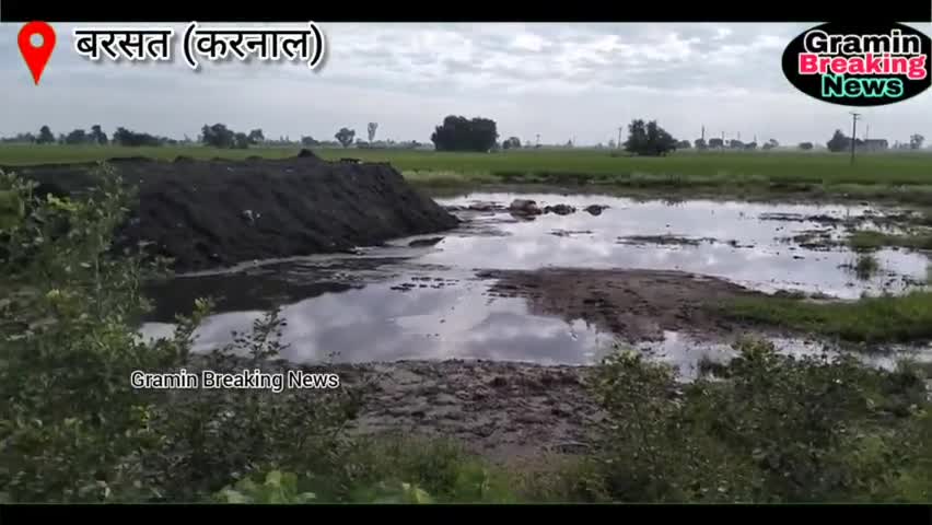 बरसतवासी क्यों पी रहे जहर | गाँव में फैली बीमारी #graminbreakingnews #voiceofpeople #jantakiawaz #shabnamnaaz