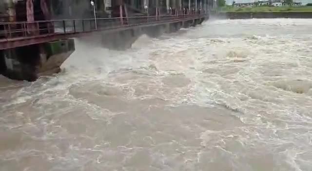 भारी बारिश के कारण संजय सागर डैम के 8 गेट खोले गए निचली बस्तियों में किया अलर्ट जारी
#विदिशा
#संजयसागरडैम