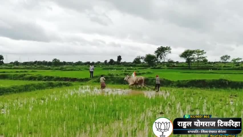 #जय_जवान, #जय_किसान 🌾🌾
प्रधानमंत्री मोदी जी के आव्हान पर इस वर्ष आज़ादी के 75 वें वर्षगांठ पर अमृत महोत्सव के तहत हर घर तिरंगा अभियान के साथ साथ खेत-खिलीहनों में भी लहराया तिरंगा। 🇮🇳🥰