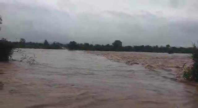 सिरोही  जिले में अच्छी बारिश होने के कारण पेशुआ  गांव में पश्चिमी बनास नदी पूरे वेग से बह रही है #banasriver #sirohi@