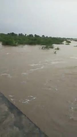 सिरोही जिले के सबसे बड़े बांध पश्चिमी बनास बांध ओवरफ्लो होने के कारण भावरी गांव में पश्चिमी बनास नदी उफान पर  #sirohinew