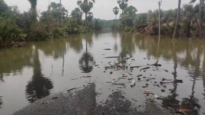 कोन्टा: कोण्टा से होकर बहने वाली शबरी नदी का बढ़ा जलस्तर, NH-30 हुआ जलमग्न