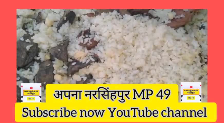 नरसिंहपुर: मध्यान भोजन में मिले कीड़े बच्चों को परोसा जा रहा था कीड़े युक्त भोजन देखे रिपोर्ट #गोटेगांव  #अपनानरसिंहपुरMP 49