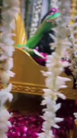 कृष्ण जन्माष्टमी की धूम, मंदिरों में उमड़ी भक्तों की भीड़
#janmastami #krishna