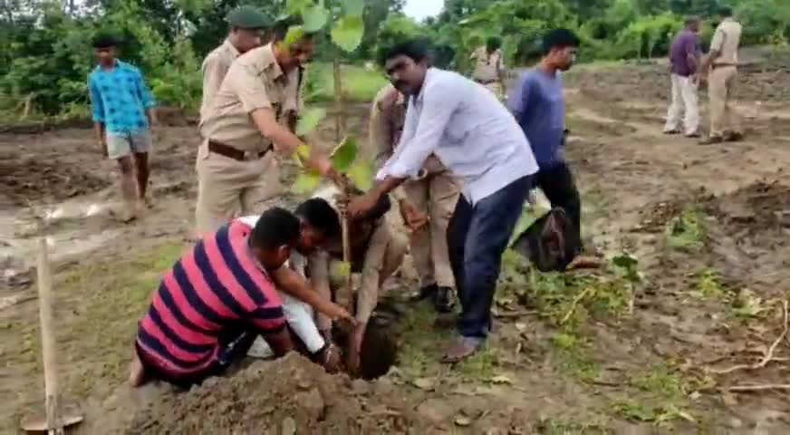 कोन्टा: कोण्टा में मनाया गया कृष्णकुंज कार्यक्रम, किया गया वृक्षारोपण