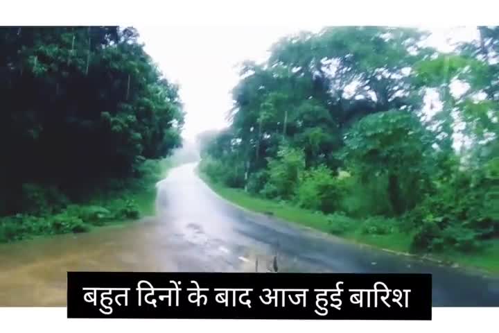 बौंसी: जोरदार बारिश होने से किसानों के चेहरे  पर दिखी उत्सुकता,! #Aditya Anuj