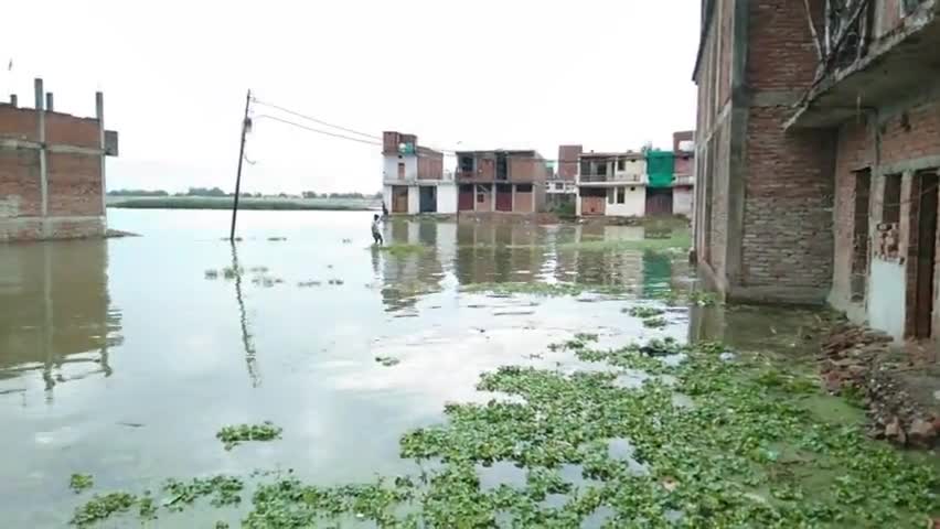 प्रयागराज: इलाहाबाद के छोटा बघाड़ा मैं घुसा बाढ़ का पानी#allahabad#prayagrajnews