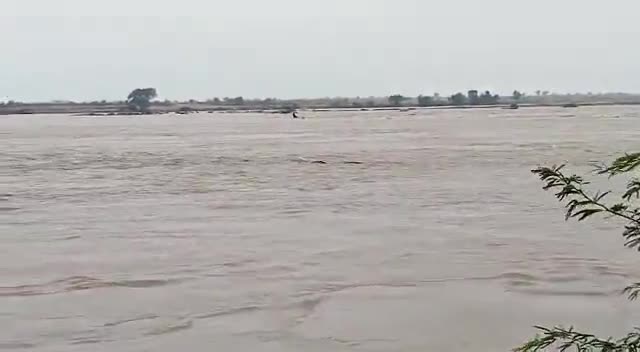 ग्राम रूर (कुलेंथ) में सिंध नदी का स्तर बड़ता जा रहा है। कृपया सभी लोग सतर्क रहें। सुरक्षित रहे।#Indergarh #दतिया