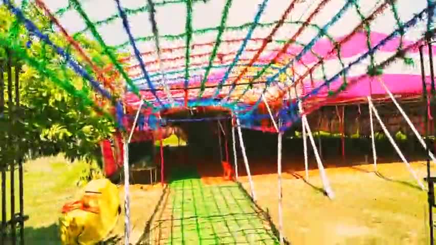 सिवान: सिवान जिले के दुरौंघा क्षेत्र के महाराजगंज में हो रहे महायज्ञ का आयोजन #न्यूज #newwagecode #viralkaro #newsnow18