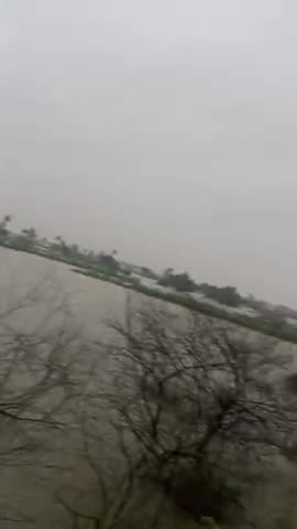 लाडपुरा: kota tirupati awas : bhari barish ke karan Puri colony baad ki chapet me #thekdanews #kotanews  #heavyrain