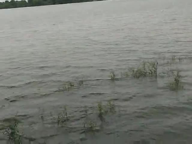 टोंक: tonk  .Paldi gav #tonknews #banasriver #bisalpur #bisalpur