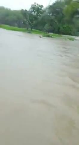 खाचरौद: #गाँव चांपानेर मे तेज बारिश के चलते नाले आए उफान पर