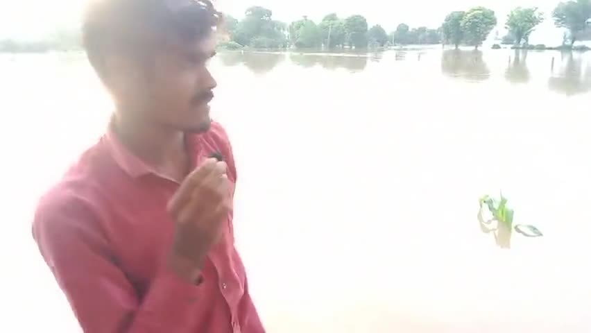 इटावा क्षेत्र के बाड़ी गांव मे फसल हुई बर्बाद  #itawa