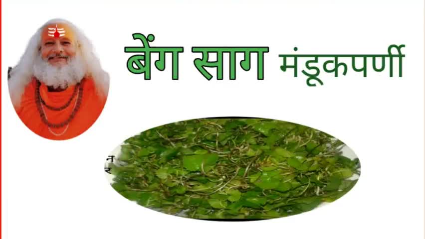 बेंग साग उपयोगी विभिन्न रोगों में
Tap करें..........👇
https://youtu.be/7Q5nBhylRac
(कृप्या सब्सक्राईब, लाईक और शेयर भी करें.....)
#SHORTS #ayurveda 
#healthtips #healthyfood #healthcare #health