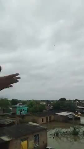 मांगरौल: #सीसवाली में कालू पूरा बस्ती में पानी पानी पूर्व मुख्यमंत्री का हेलिकॉप्टर देख के लोगों ने घर की छतों से लगाई आवाज।