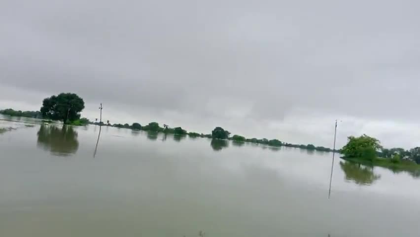झालरापाटन: खानपुर ।। सुवालिया और खुंजा गांव में बाड़ से पूरी फसल नष्ट किसानों को सरकार से मुवाजा की लगाई आश
#बाड़
#फ़सल