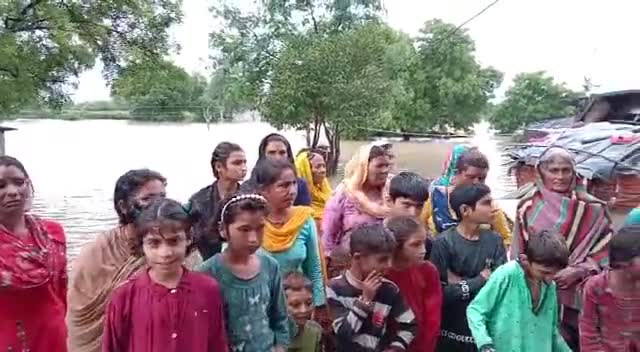 गुना नगर: #news_भारत तहसील राघोगढ़ पंचायत साकोन्या विमुक्त घुमक्कड़ एवं अर्द्ध घुमक्कड़ जाति के लोग निवास करते हैं