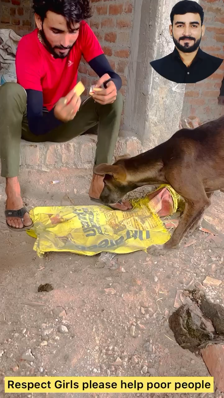 Cute Pappi 😍😘
Respect Girls please help poor people 
#apsgurjar #help #cute #cuteanimals #love #bonding