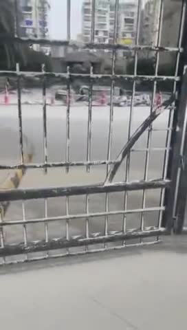 Noida: ट्विन टावर ब्लास्ट के बाद मलबे का पहला वीडियो आया सामने, देखें पूरा वीडियो
.
.
.
#Noida #TwinTowers