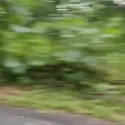 ताहकवाड़ा-NH30 पर तेज तूफान के कारण शाम के दौरान चलती मालवाहक पर सड़क किनारे स्थित विशाल पेड़ गिरा, घंटों तक जाम हुआ NH