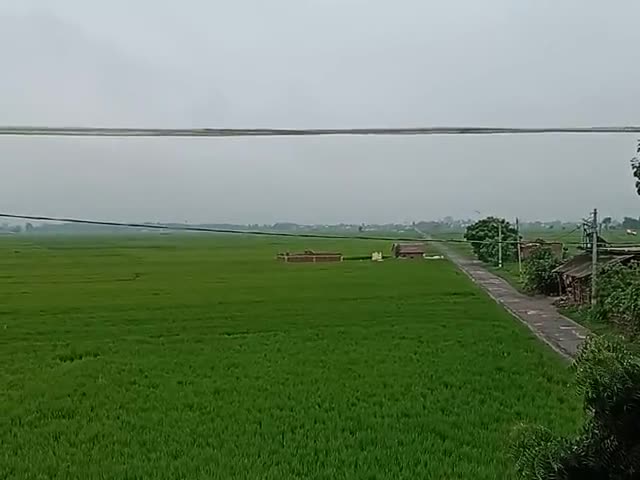 महाराजगंज: #मानसून अपडेट
न्यूज़ नगरपंचायत चौक