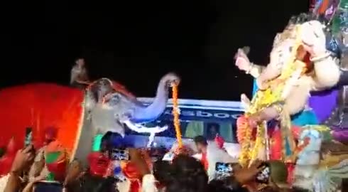 गजराज ने जब भगवान गणेश को हार पहनाया, ख़ुशी से झूम उठे भक्त, देखिये पूरा वीडियो  
.
.
.
#गणेशचतुर्थी2022 #गणेशचतुर्थी