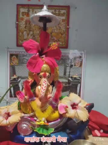 जयकारों के बीच विराजे विघ्नहर्ता
#मगरलोड से शशांक कंसारी की रिपोर्ट
