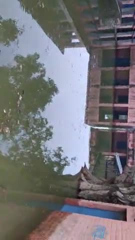 गोगरी: #Madhya vidiyalay Banni Jo ab puri tarah se nadi ke pani se dhub gaya h ...