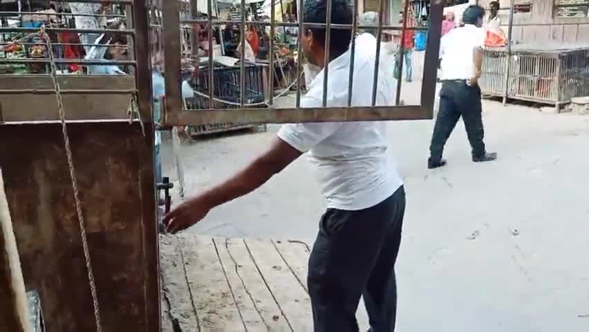 मेड़ता: #लंपी से पीड़ित गोवंश को बचाने की मुहिम के तहत पालिका के सफाई कर्मचारियों ने आज पीड़ित गायों को पकड़कर उपचार के लिए भेजा