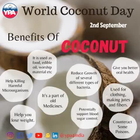 *YPA celebrates today, "World Coconut Day"*
#coconutwater #coconut #healthylifestyle  #coconuts #healthyfood #organic #coconutmilk #healthy #beach #coconutoil #food #healthydrink #fitness #natural #summer #water #foodie #coco #hydration