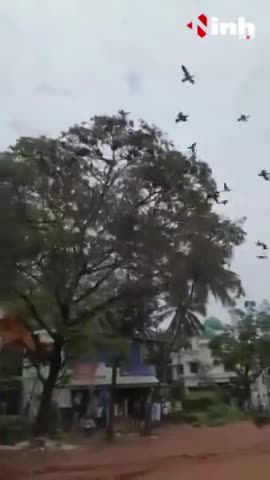 #ViralVideo2022 :  सोशल मीडिया में इन दिनों यह वीडियो तेजी से वायरल हो रहा हैं