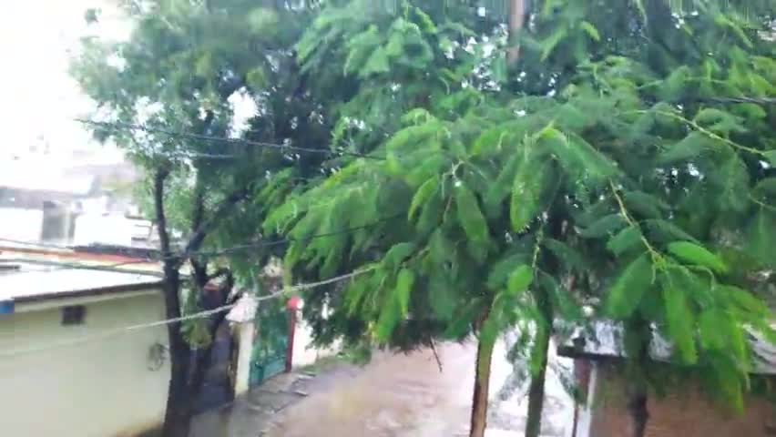 रीवा में aaj 5 pm  हुई शानदार बारिश गर्मी से राहत मिलने की उम्मीद।
#trending_video