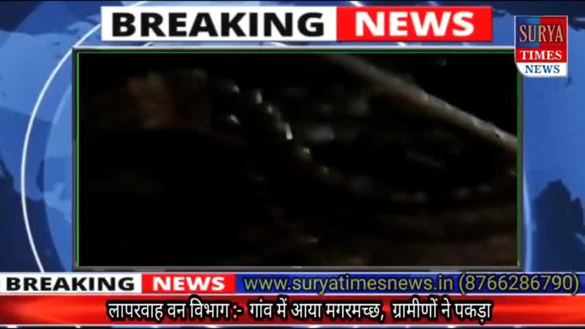 वन विभाग लापरवाह :- जान जोखिम में डालकर ग्रामीणों ने पकड़ा मगरमच्छ...
#bareillynews
#suryatimesnews 
#upforest
