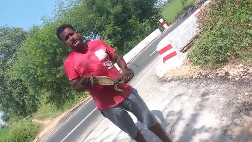 चरखी दादरी: Release monitor lizard 🤗🤗🤗
#Praveen Ghasola Wildlife lover 🙏🙏🙏