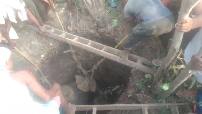 रहुई: राहू थाना क्षेत्र में मननकी गांव में कुआं में एक #जानवर गिर गया था गांव वालों मिलकर रस्सी सहायता से निकाला गया