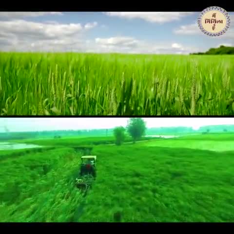 दरभंगा: बिहार में फ्लोटिंग सोलर पावर प्लांट से बनाई जा रही बिजली
#mithila #mithilapainting #mithilaart #mithilaculture
