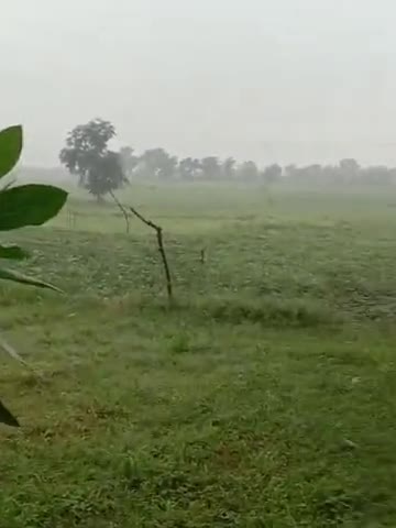 बहुत समय के बाद हुई बारिश #ग्रामचीक्तागुलेंदा #bundelicinema #deepak dadda