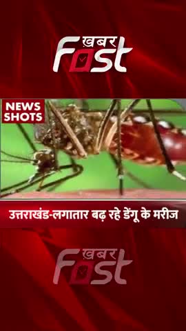उत्तराखंड में बढ़ रहे डेंगू के मरीज 

#khabarfast #DengueAttack #uttarakhand #dengue #denguesymptoms #shotsvideo