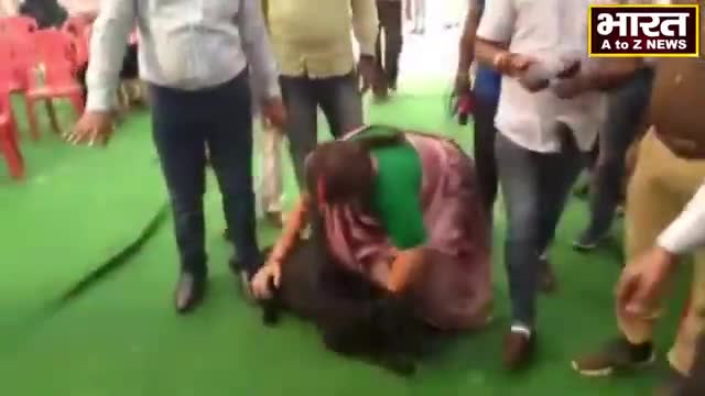 कानपुर: #कानपुर#पालतू कुत्तों का रजिस्ट्रेशन हुआ शुरू